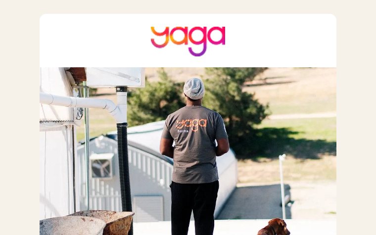 Portal mayorista de YAGA Farms